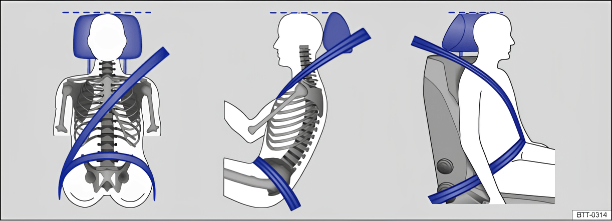 Fig. 52 Correct seat belt routing and correct head restraint adjustment