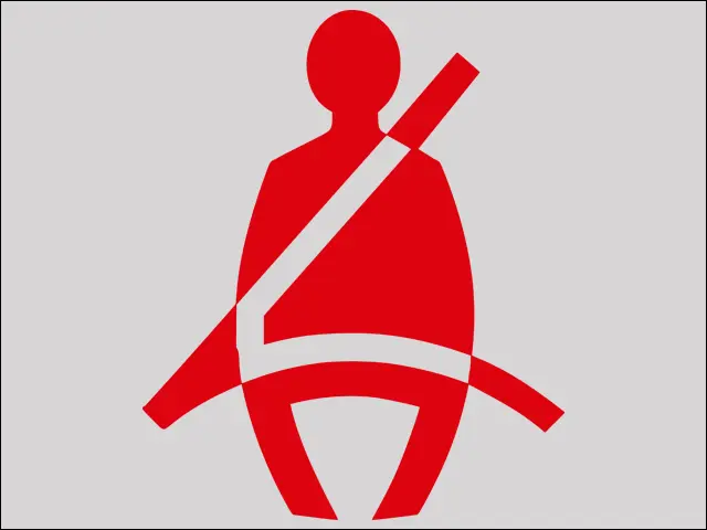 Fig. 44 Warning lamp in the instrument cluster